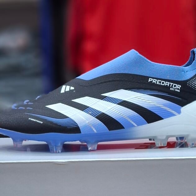 Predator bilingham 26